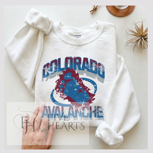 Colorado Hockey | Graphic Tee | DTF Printed