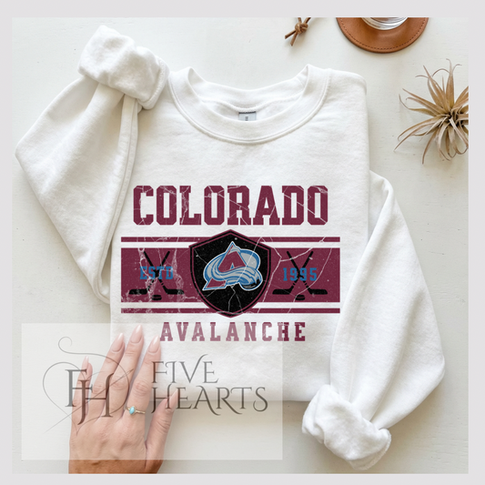 Colorado Hockey | Graphic Tee | DTF Printed