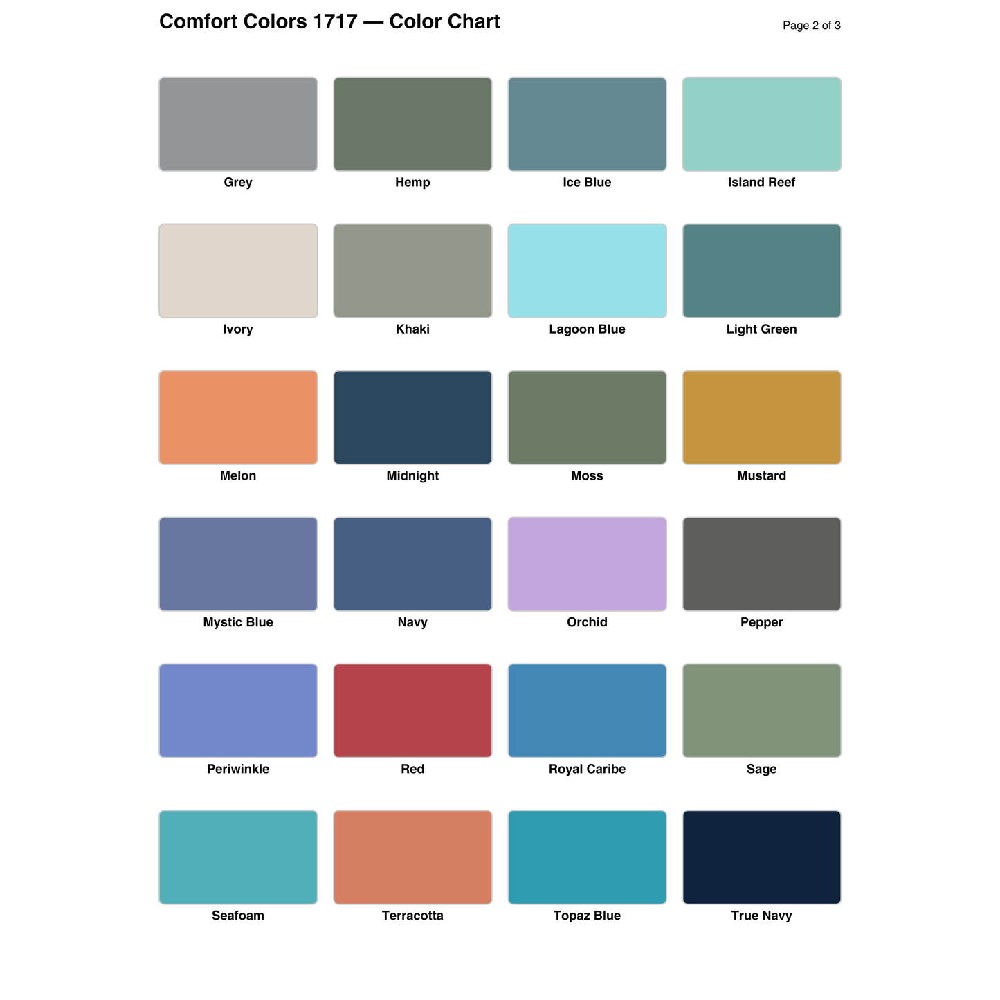 Comfort Colors Tee